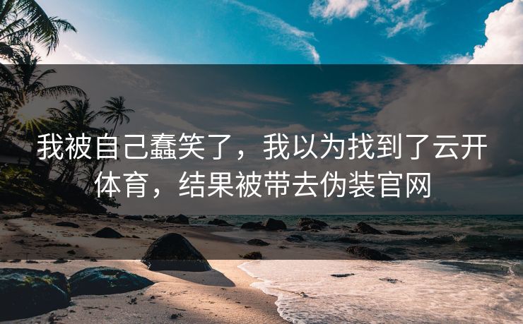 我被自己蠢笑了，我以为找到了云开体育，结果被带去伪装官网